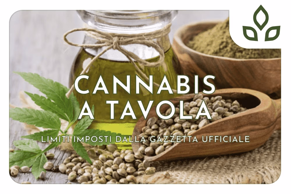 cannabis limiti gazzetta
