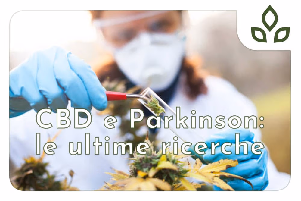 cbd e parkinson