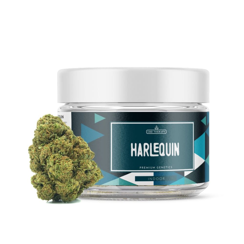 Harlequin CBD - CBD Shop Online di Cannabis e Erba Legale - CBD Therapy