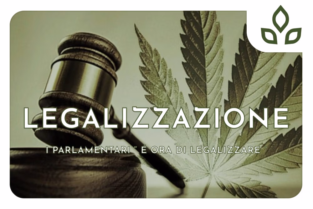 LEGALIZZAZIONE CANNABIS