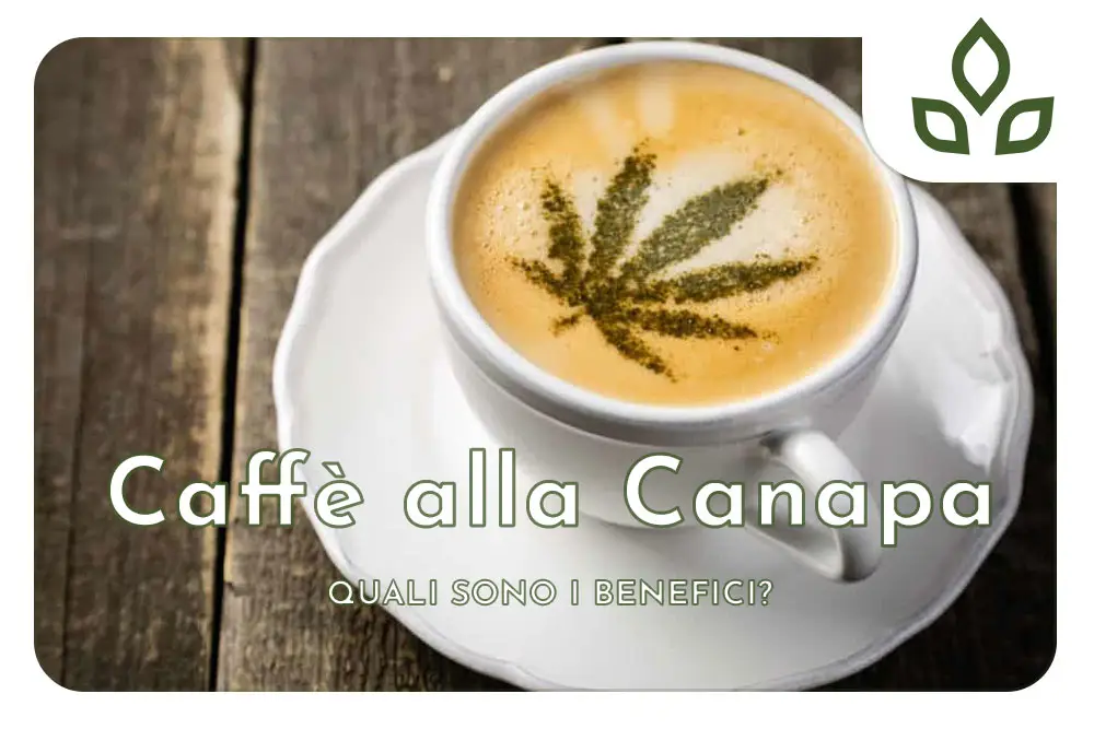Caffè alla canapa effetti