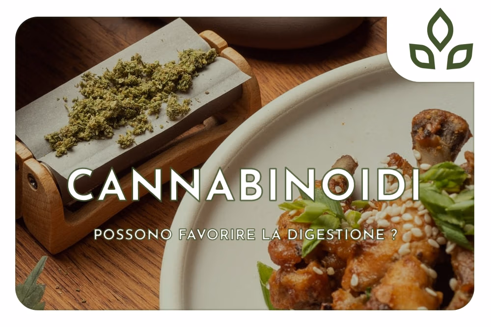cannabinoidi digestione