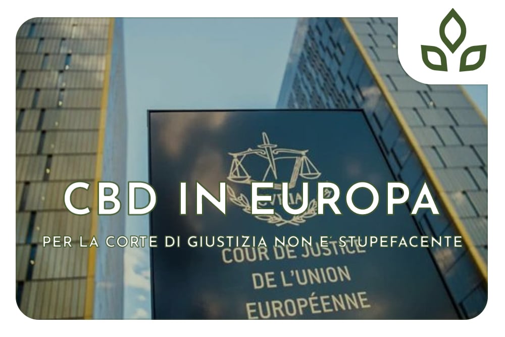 cbd CORTE europea