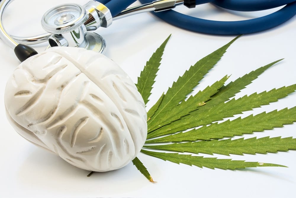 Cannabis Neuroscienza