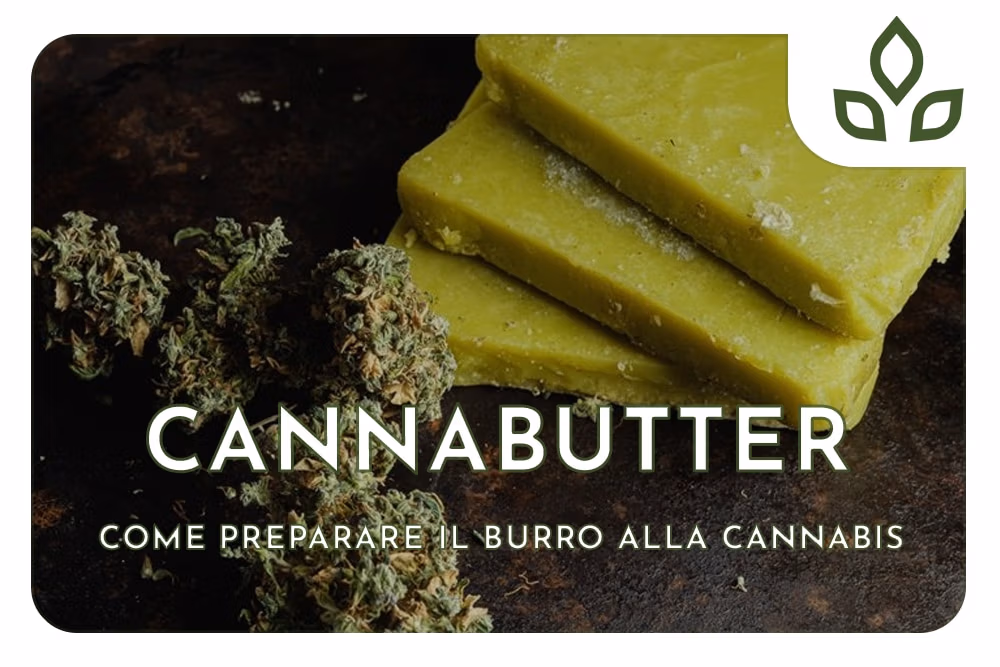CANNABUTTER