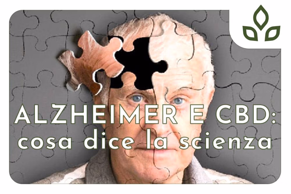 alzheimer e cbd