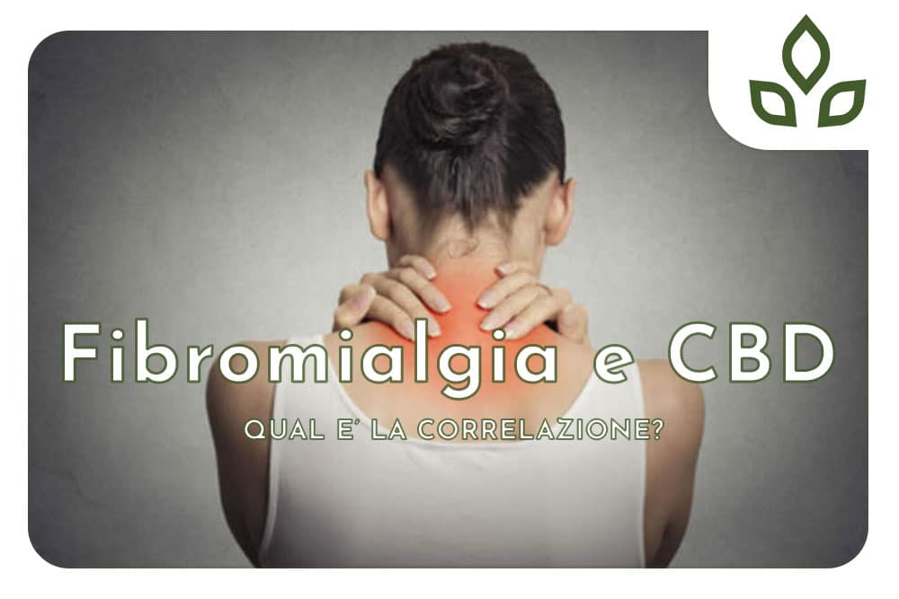 fibromialgia e cbd