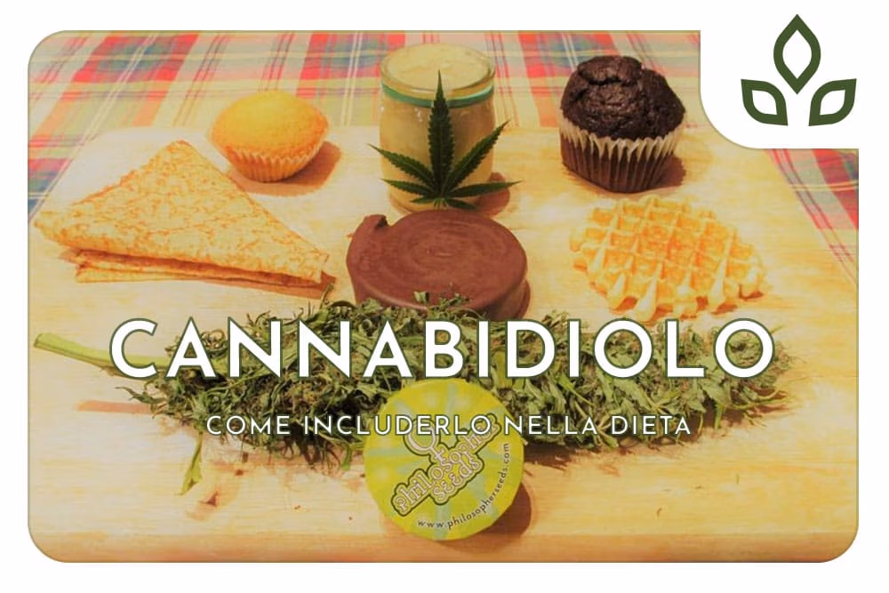 cannabis in cucina