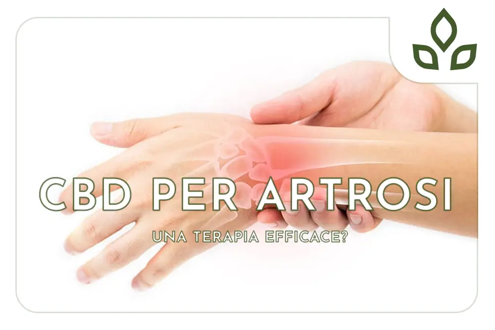 cbd per artrosi