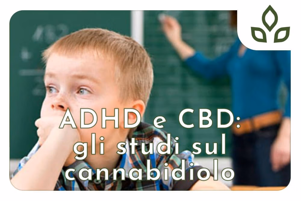 adhd e cbd