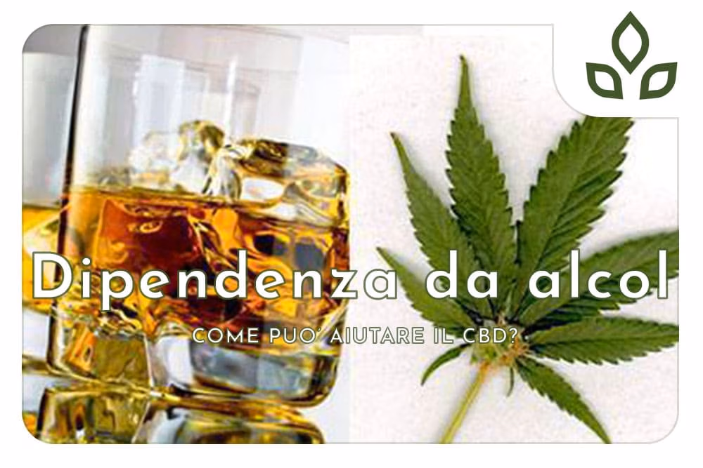 alcol
