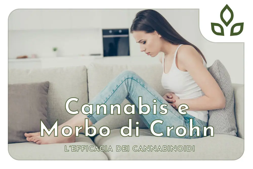 cannabis e morbo di crohn