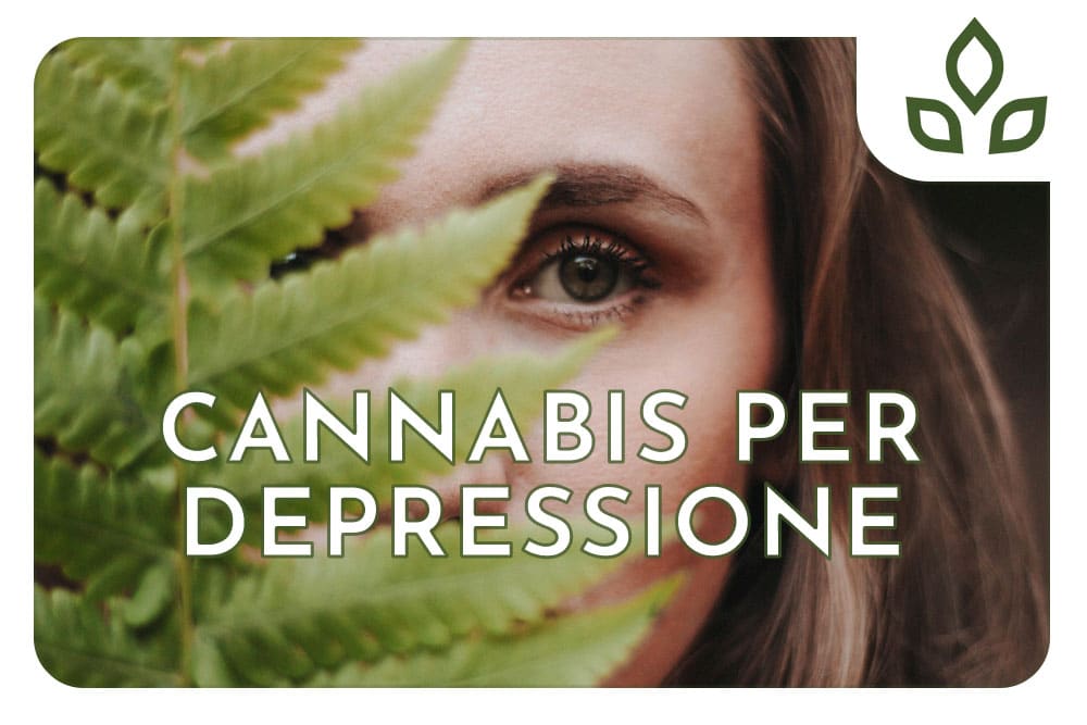 cannabis per depressione