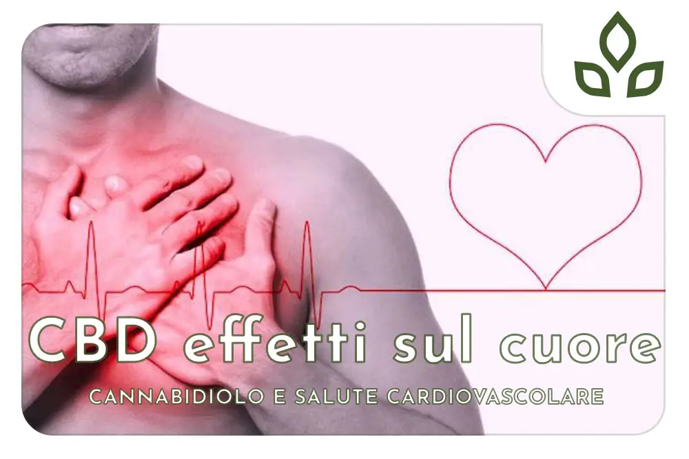 cbd effetti sul cuore