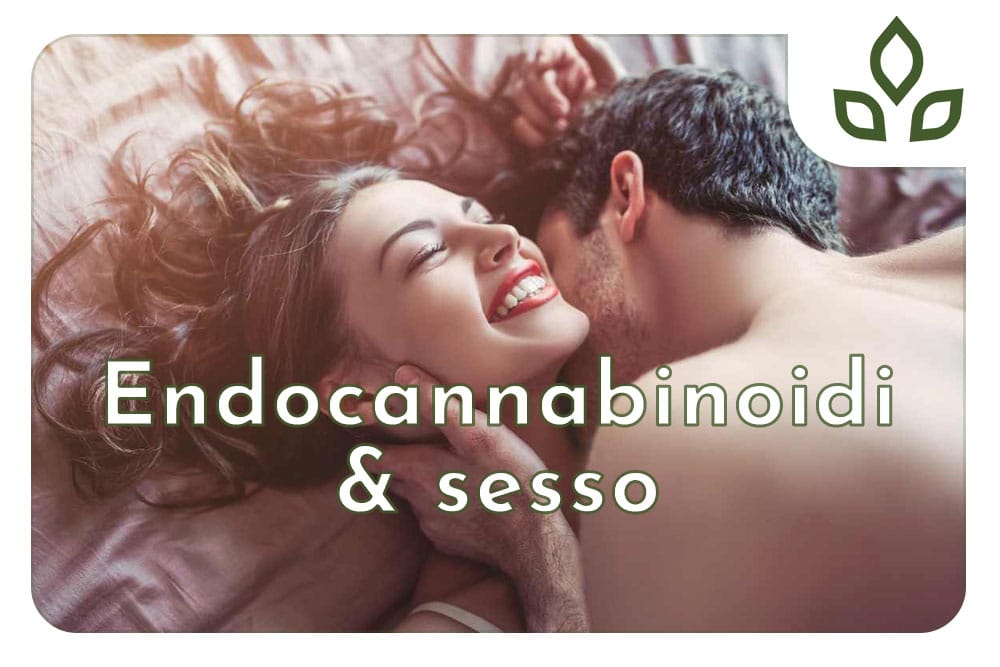 endocannabinoidi