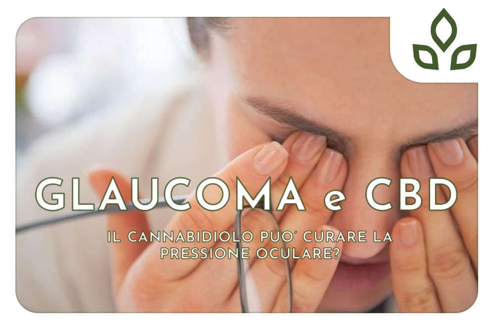 glaucoma e cbd