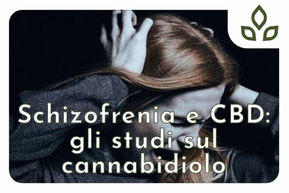 schizofrenia e cbd