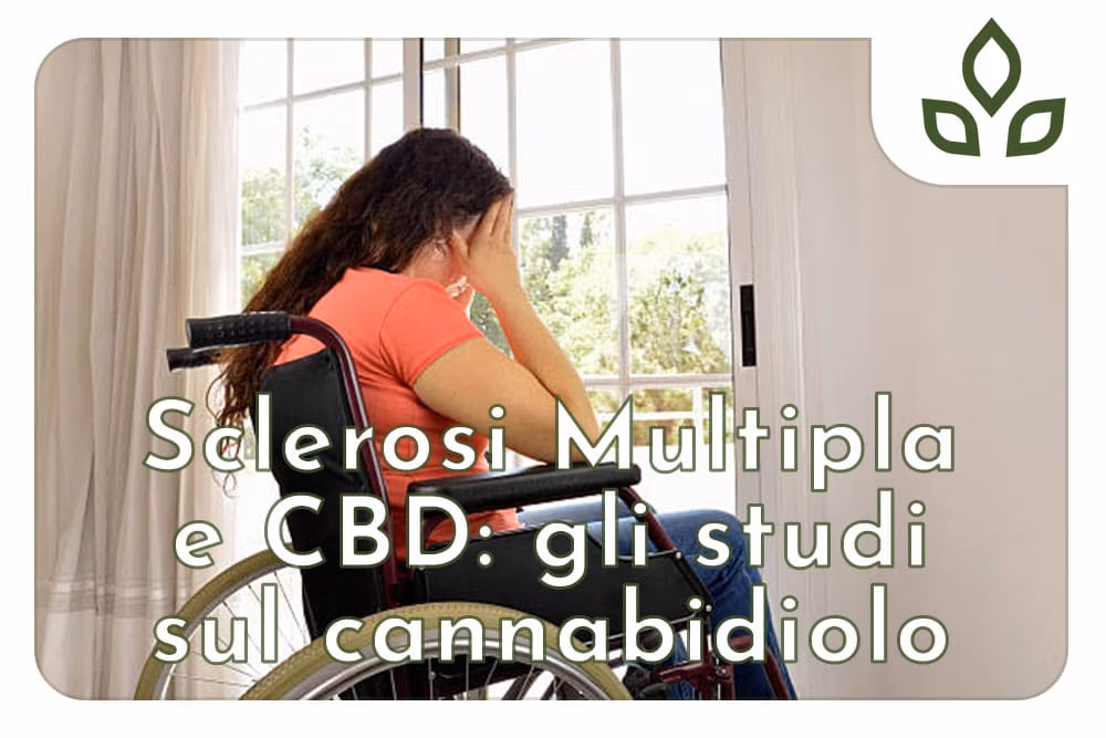 sclerosi multipla e cbd