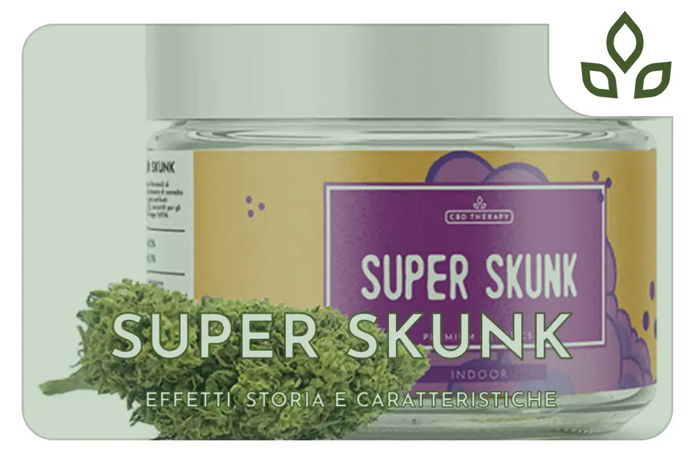super skunk effetti