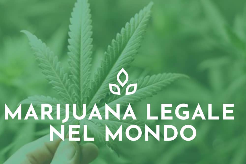 marijuana legale