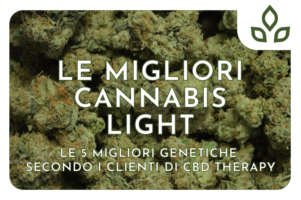 Migliori Cannabis Light