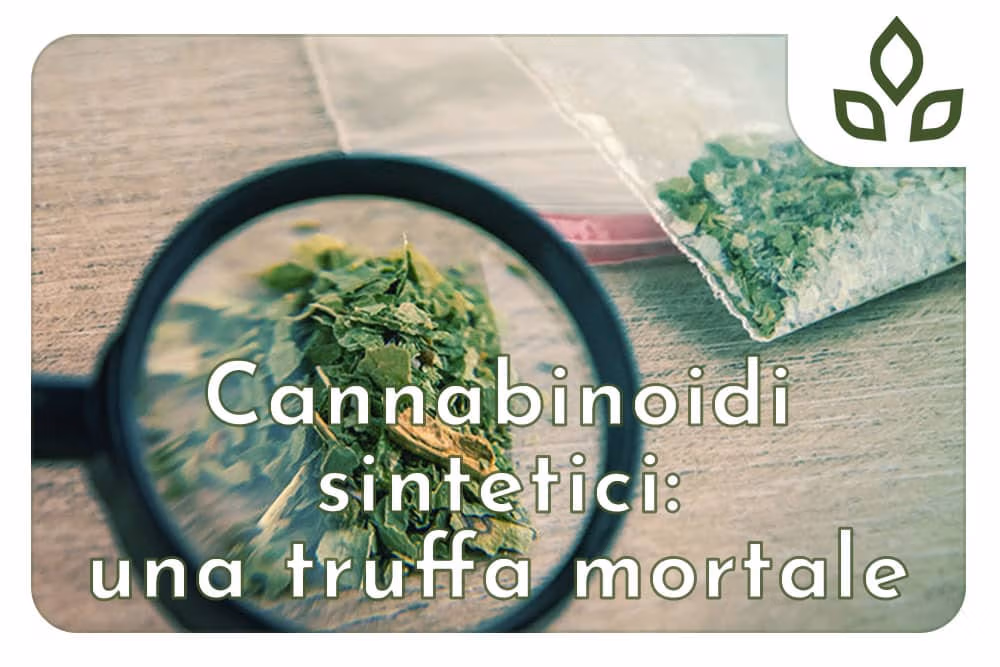 cannabinoidi sintetici