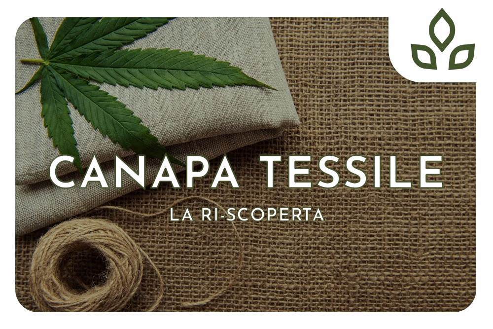 canapa e tessile
