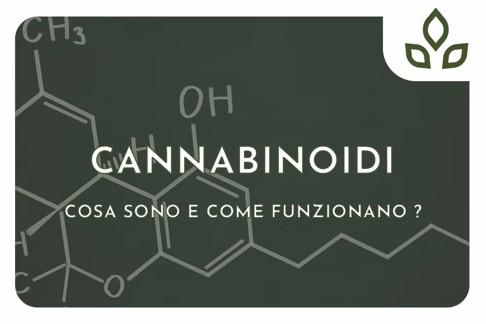 CANNABINOIDI
