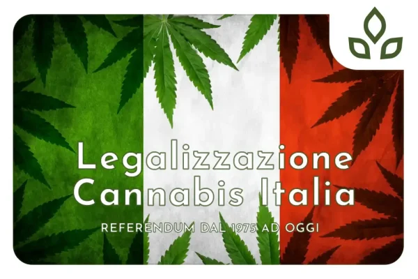 legalizzazione cannabis italia