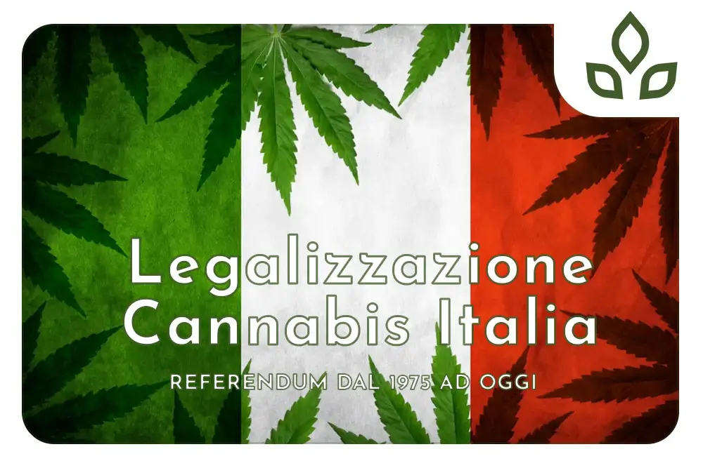 legalizzazione cannabis italia