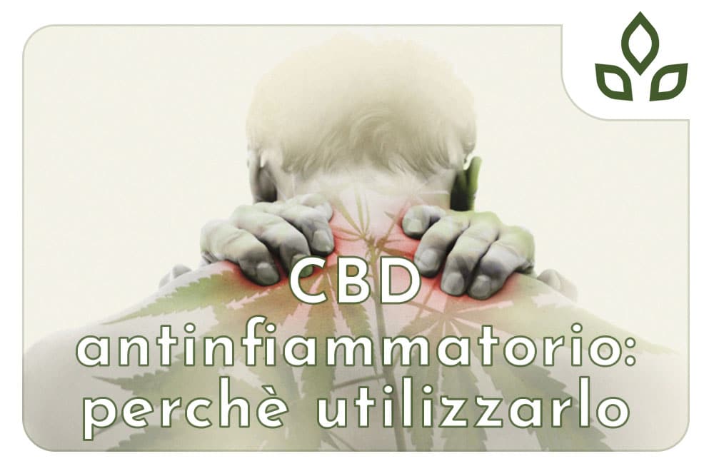 cbd antinfiammatorio