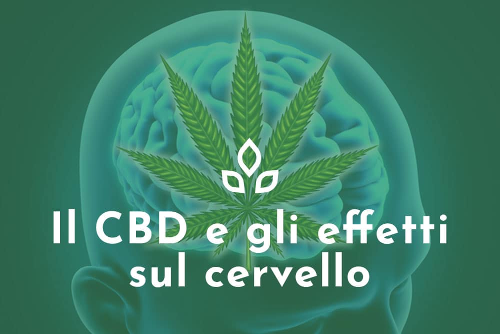 CBD effetti sul cervello