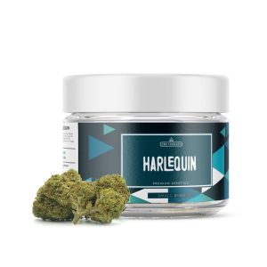 Harlequin - CBD Shop Online di Cannabis e Erba Legale - CBD Therapy