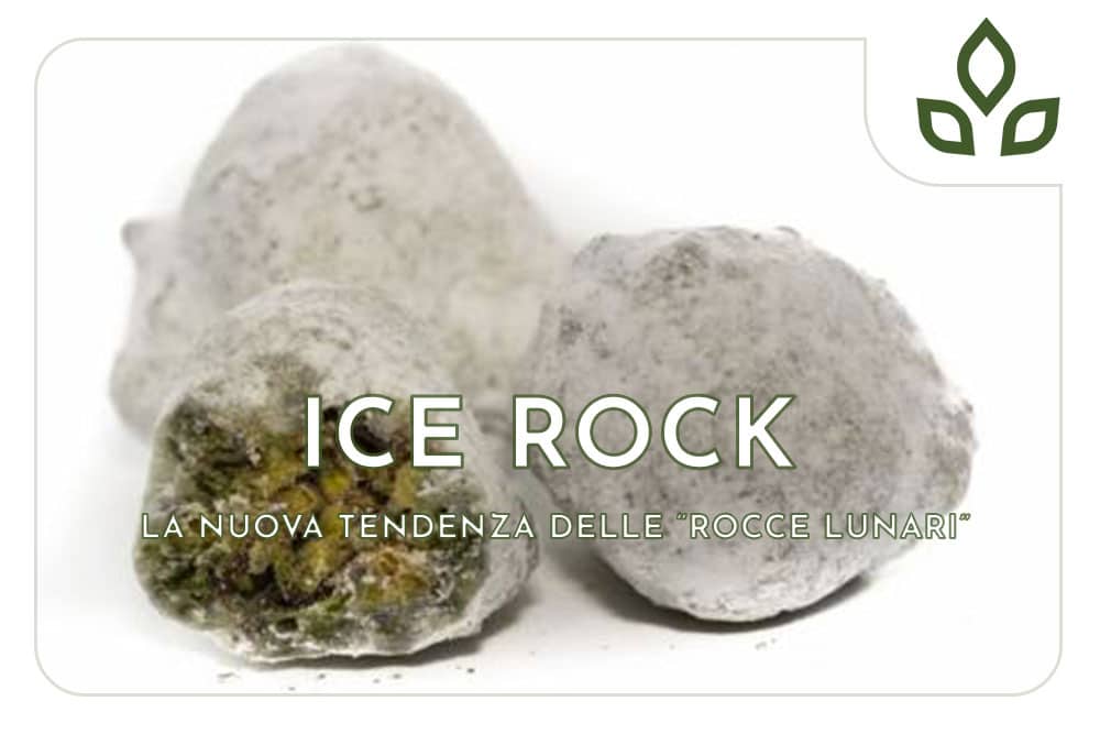ice rock