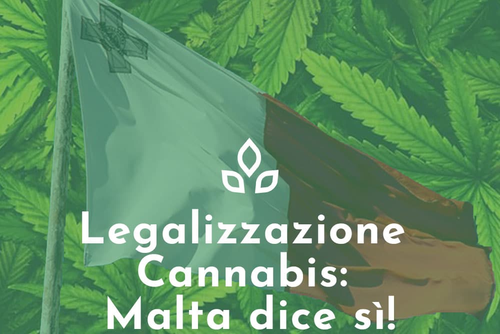 Legalizzazione cannabis Malta