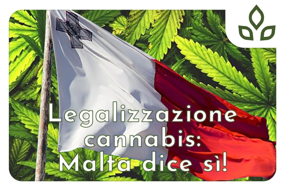 legalizzazione cannabis malta