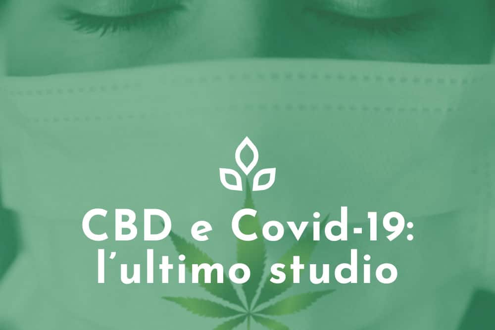 CBD e Covid-19