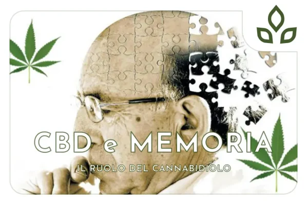 cbd e memoria