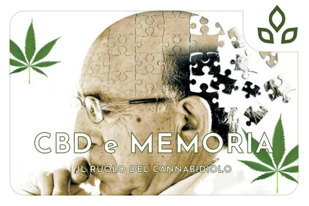 cbd e memoria