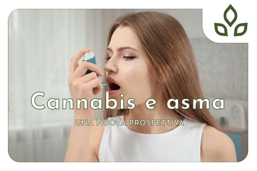 cannabis e asma