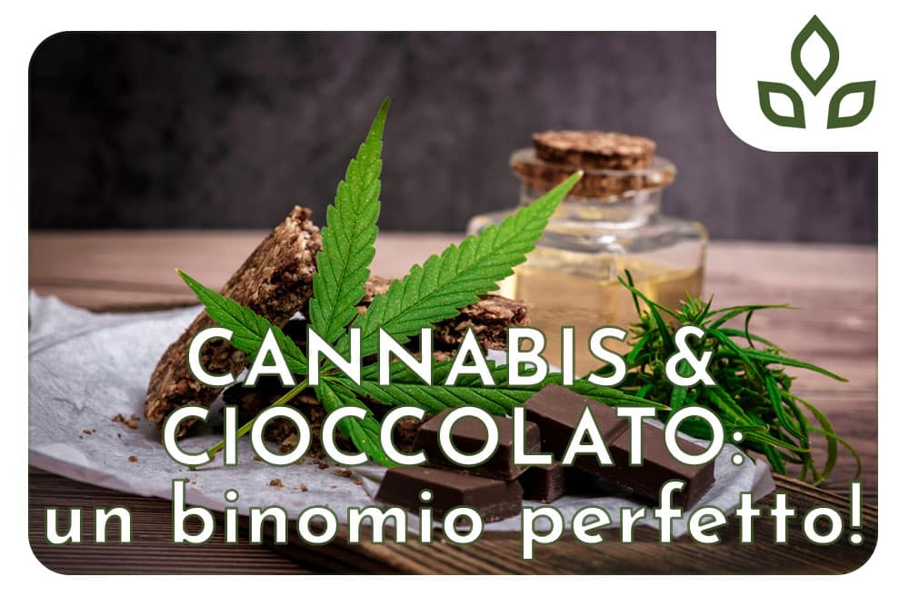 cannabis e cioccolato