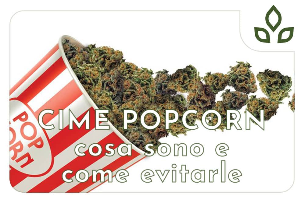 cime popcorn