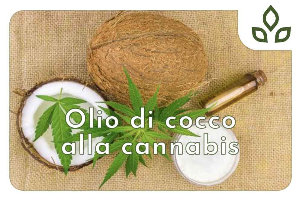 olio di cocco alla cannabis