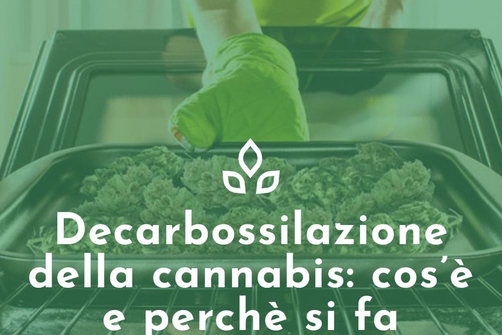 Decarbossilazione della cannabis