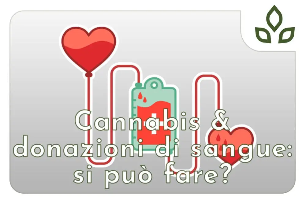 cannabis donazione sangue