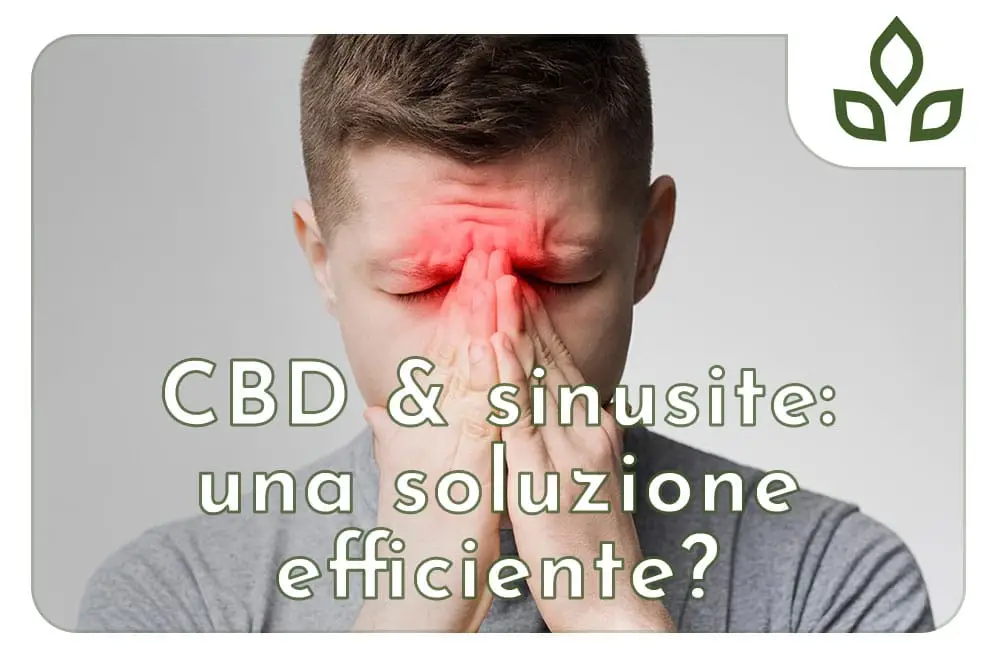 cbd e sinusite
