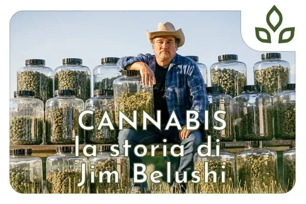 jim belushi