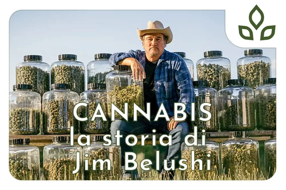 jim belushi