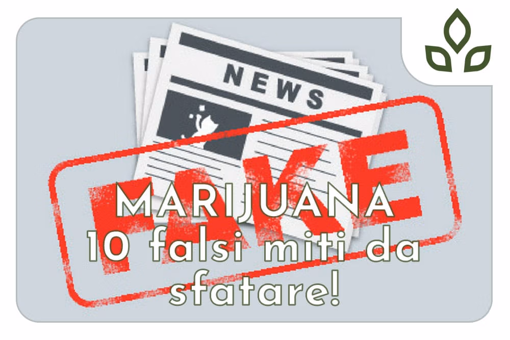 la marijuana crea dipendenza