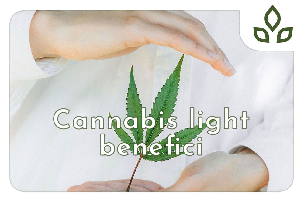 cannabis light benefici